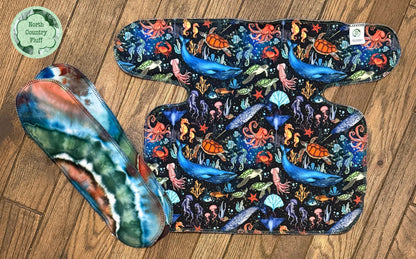 Midnight Reef IN Preflat (2)