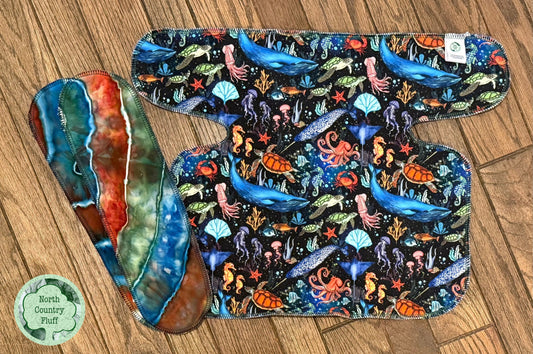 Midnight Reef IN Preflat (3)